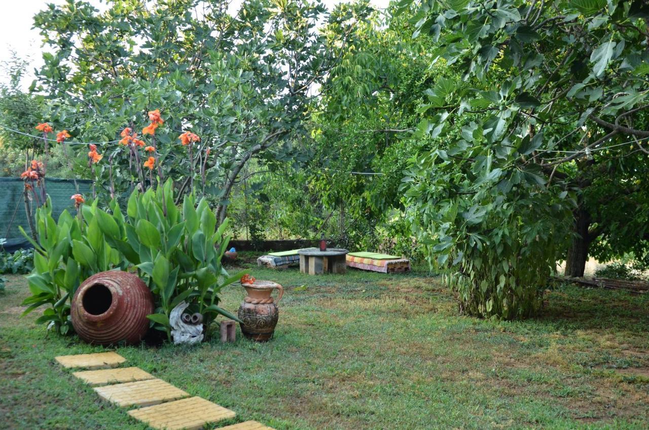 Doloi Garden House Villa Malta ภายนอก รูปภาพ